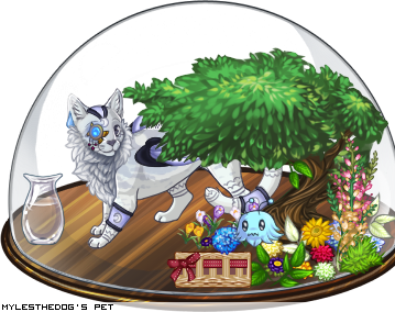 Dressed pet