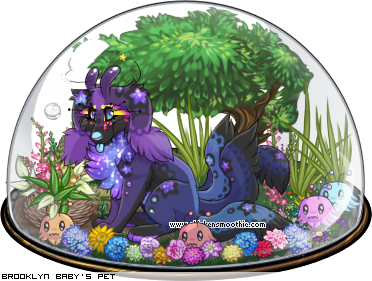 Dressed pet