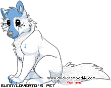 Dressed pet