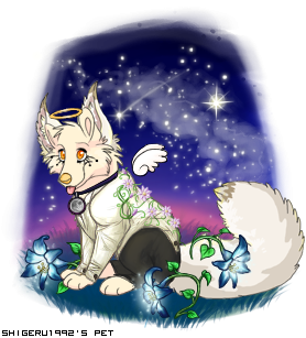 Dressed pet