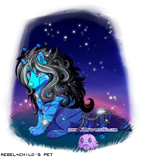 Dressed pet