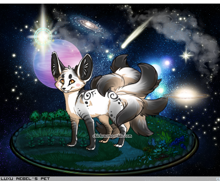 Dressed pet