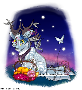 Dressed pet