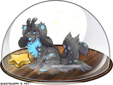 Dressed pet