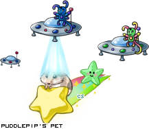 Dressed pet