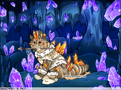 Dressed pet
