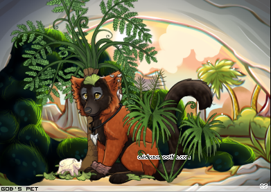 Dressed pet