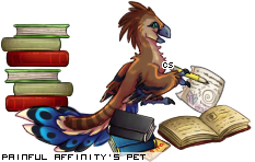 Dressed pet