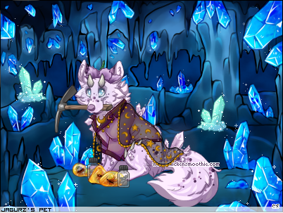 Dressed pet