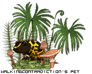 Dressed pet