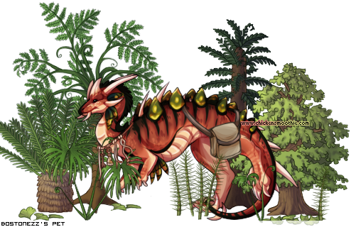 Dressed pet