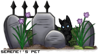 Dressed pet