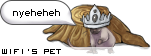 Dressed pet