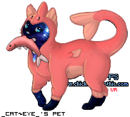 Dressed pet