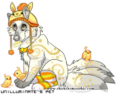 Dressed pet