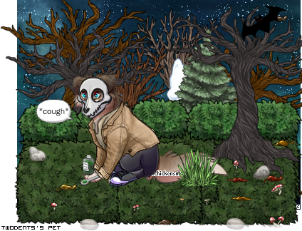 Dressed pet