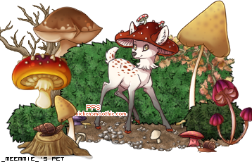Dressed pet