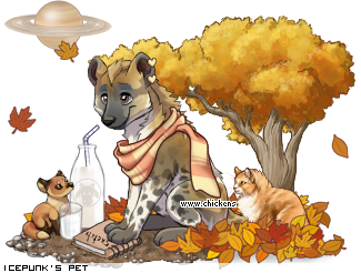 Dressed pet