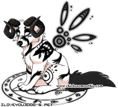 Dressed pet