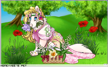 Dressed pet