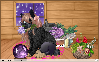 Dressed pet
