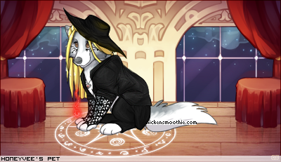 Dressed pet