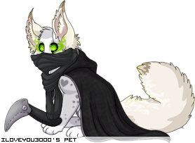 Dressed pet