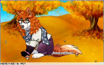 Dressed pet