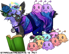 Dressed pet