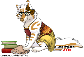 Dressed pet