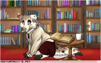 Dressed pet