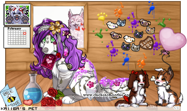 Dressed pet
