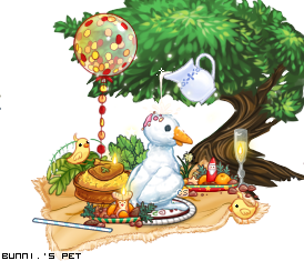 Dressed pet