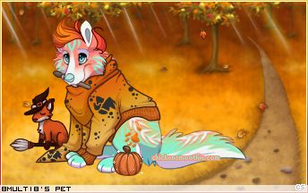 Dressed pet