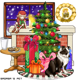 Dressed pet