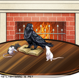 Dressed pet