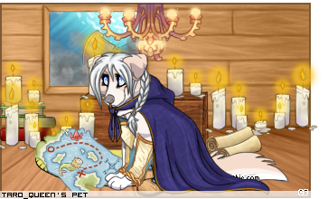 Dressed pet