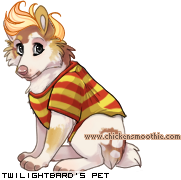 Dressed pet