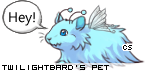 Dressed pet