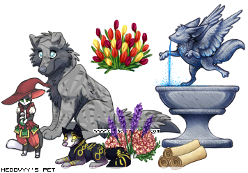 Dressed pet