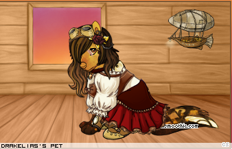 Dressed pet