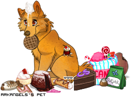 Dressed pet