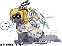 Dressed pet