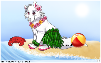 Dressed pet