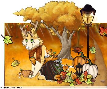 Dressed pet