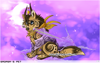 Dressed pet