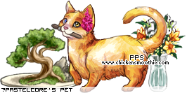 Dressed pet