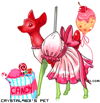 Dressed pet