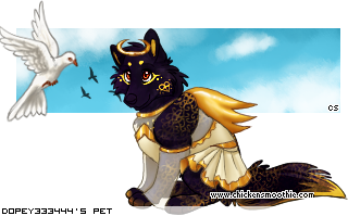 Dressed pet