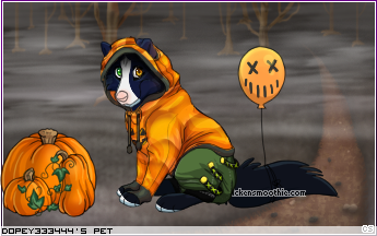 Dressed pet